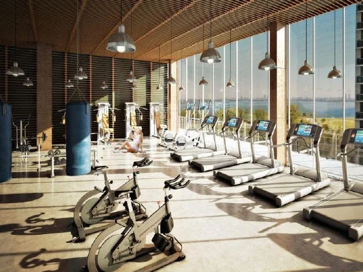 ICON by MERX gymnasium fitness amenity